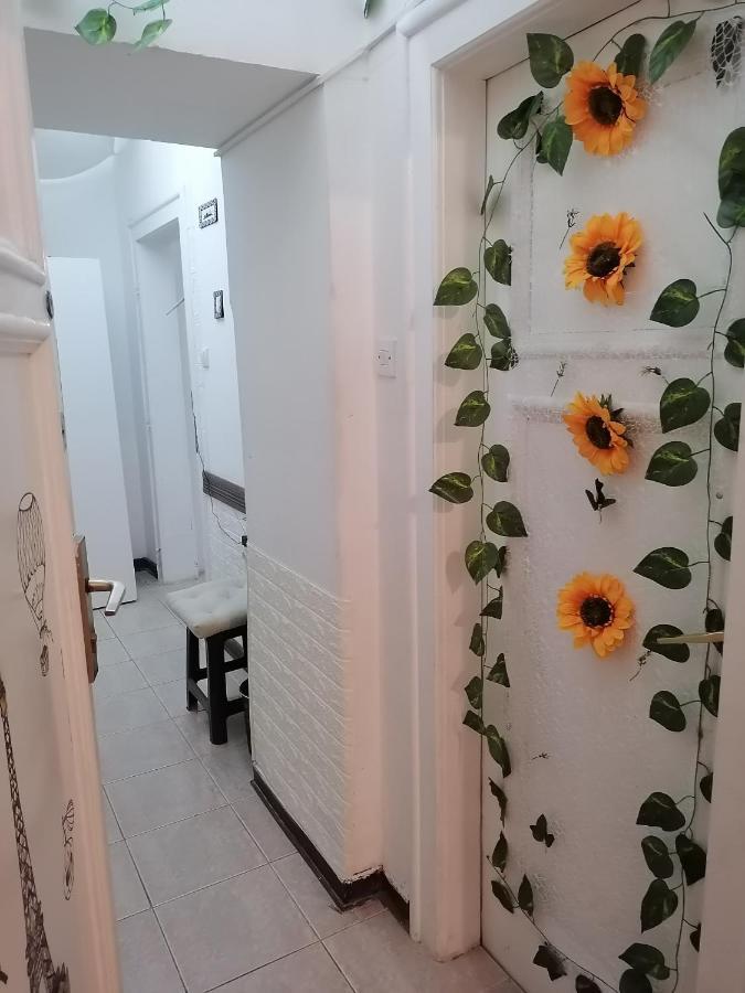 Low Cost Apartment Belgrad Zewnętrze zdjęcie