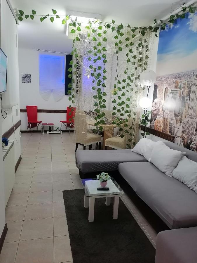 Low Cost Apartment Belgrad Zewnętrze zdjęcie